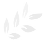 Bahar �i�ek Aranjman